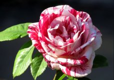 Photography class photo